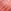 Rose Pink Jacquard