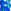 Royal Blue Floral