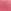 BOHEMIAN ROSE