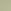 Olive Aura
