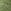 Grass Green