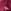 rose fuchsia