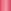 Roly Poly Rosy