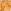 Oro Brown