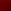 Miami Beet