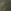 Khaki Green
