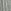 Pale Grey Green