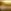 Green/Gold