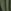 Khaki Green