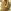 Matt Antique Brass
