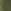 Khaki Green