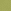 Chartreuse Green