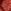 Terracotta Red