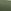 Matt Velvet Grass Green