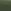 Matt Velvet Grass Green