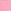 Pink Mimosa