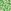 Green Floral