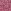 Pink Leopard