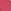 Pink Honey