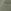 Khaki Green