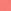 Pink Rose
