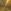Brass