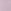 Lilac Bloom