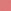 06 Rose Saharienne