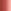 Chocolate Chip