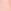 Pink Rose