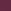 Purple Black Cherry