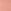 Sheer Gerbera