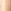 Clove