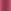 BEET