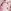 Pale Pink Floral