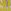 Mustard Yellow