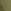 Khaki Green Embroidery