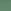Eucalyptus