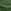 Khaki High Shine