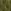 Easy Velvet Fern Green