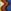Navy Blue/Brown