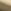 Antique Brass