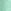 Sea Green Hibiscus