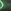 Black/Illusion Green