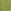 Vert citron