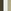 White/Natural/Green