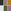 White/Olive/Green/Stone/Purple/Yellow