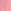 Rosa rosa