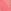 Wild Salmon Pink Lace Trim