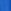 Cobalt Blue Racoon